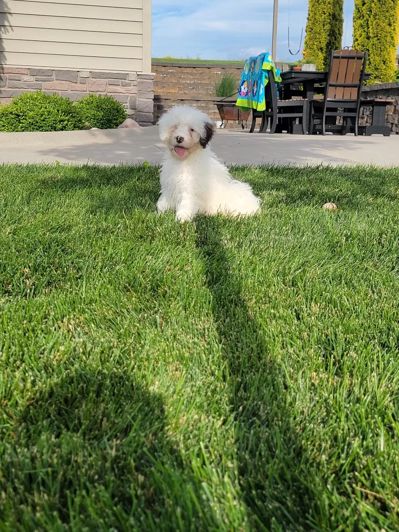 Mason