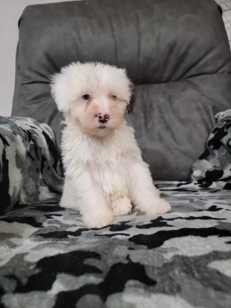 Mason
